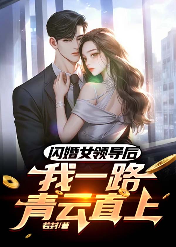 闪婚女领导后，我一路青云直上作者若封