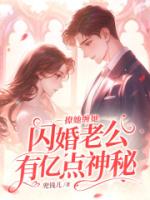 撩她缠她，闪婚老公有亿点神秘