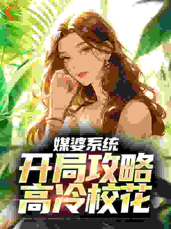 媒婆系统：开局攻略高冷校花