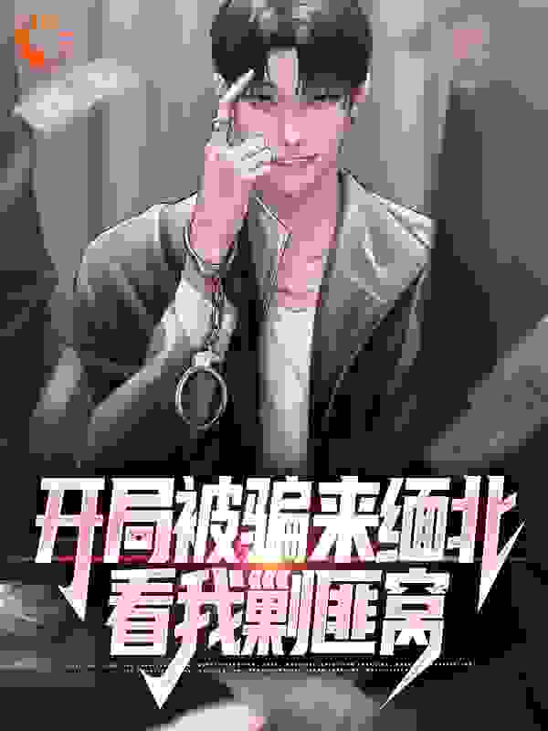 开局被骗来缅北，看我剿匪窝完结版