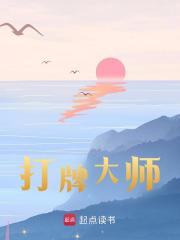 打牌大师小说